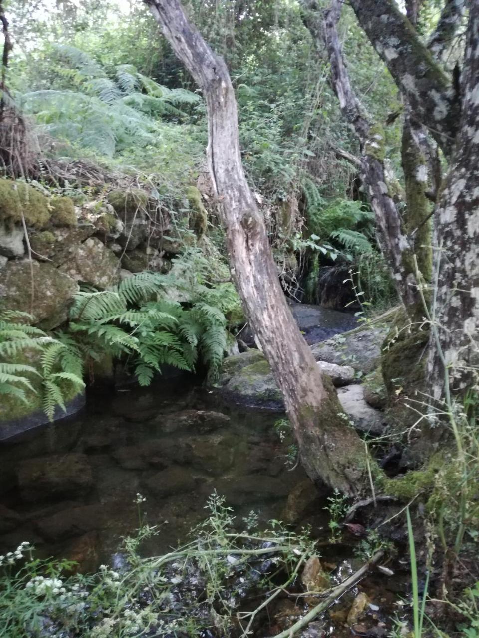 Casa Rural Mirador Del Valle Cepeda エクステリア 写真