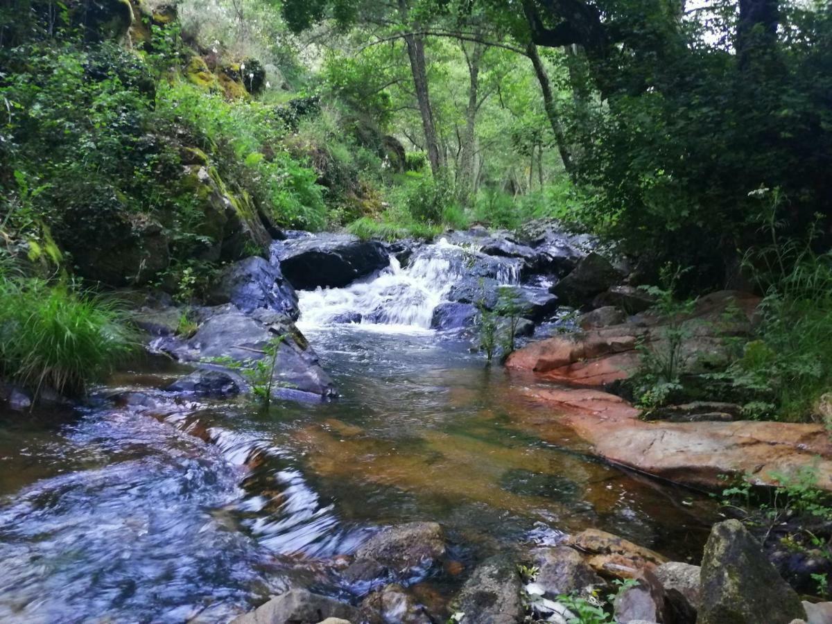 Casa Rural Mirador Del Valle Cepeda エクステリア 写真